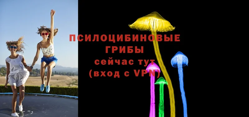 Галлюциногенные грибы MAGIC MUSHROOMS  Бузулук 